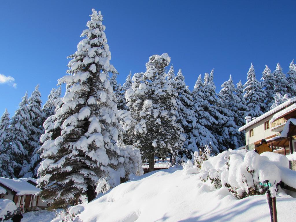 Ruca Piren Villa San Carlos de Bariloche Luaran gambar